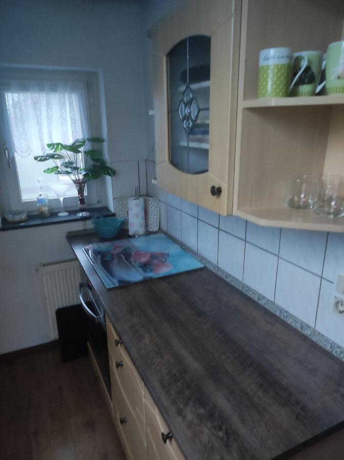 Kleine Gemuetliche Wohnung Τσβικάου Εξωτερικό φωτογραφία